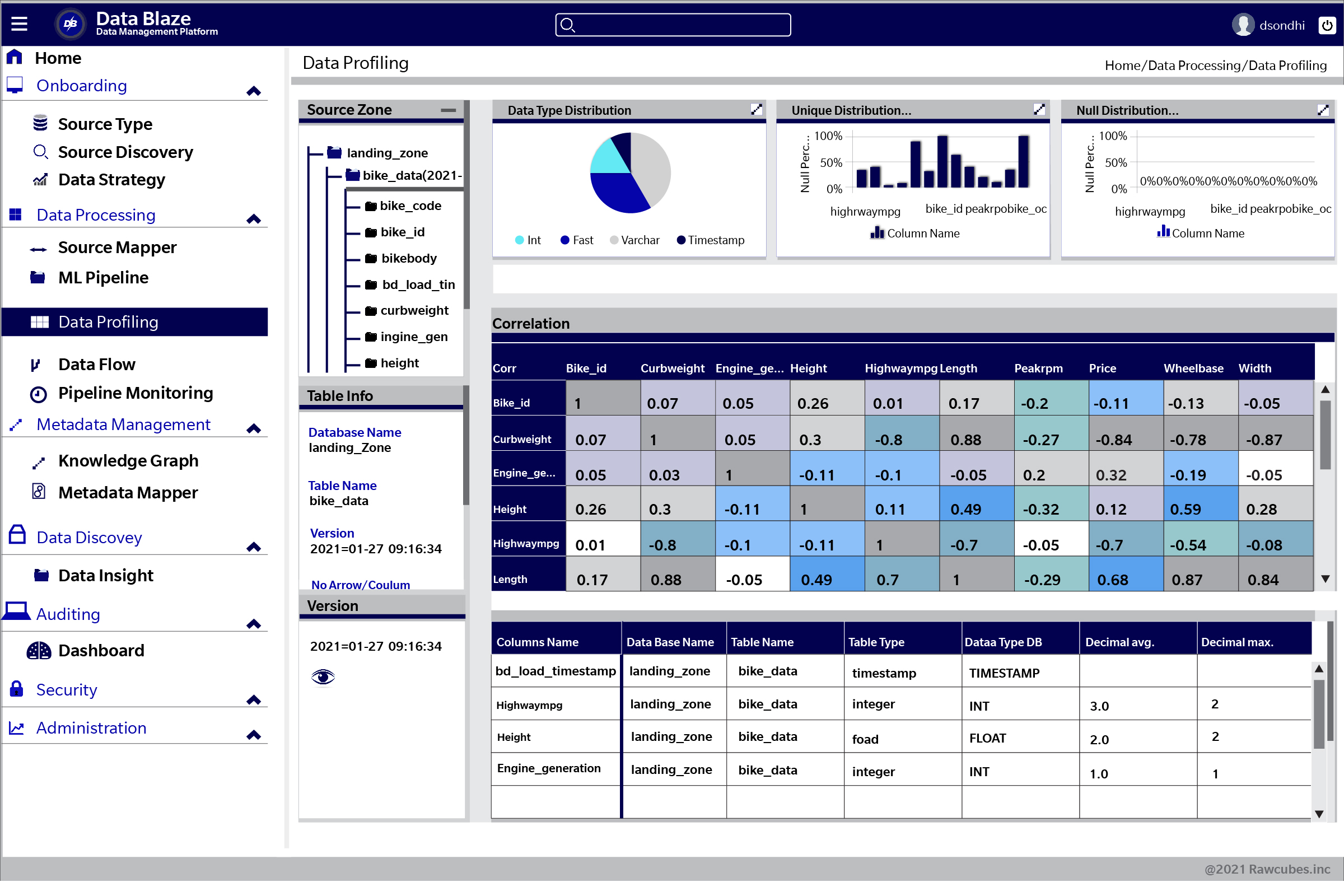 Data Profiling